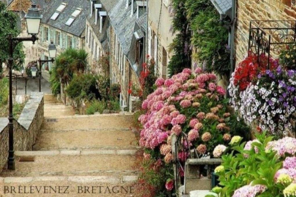 Maison Du Martin Pecheur A Lannion Buitenkant foto